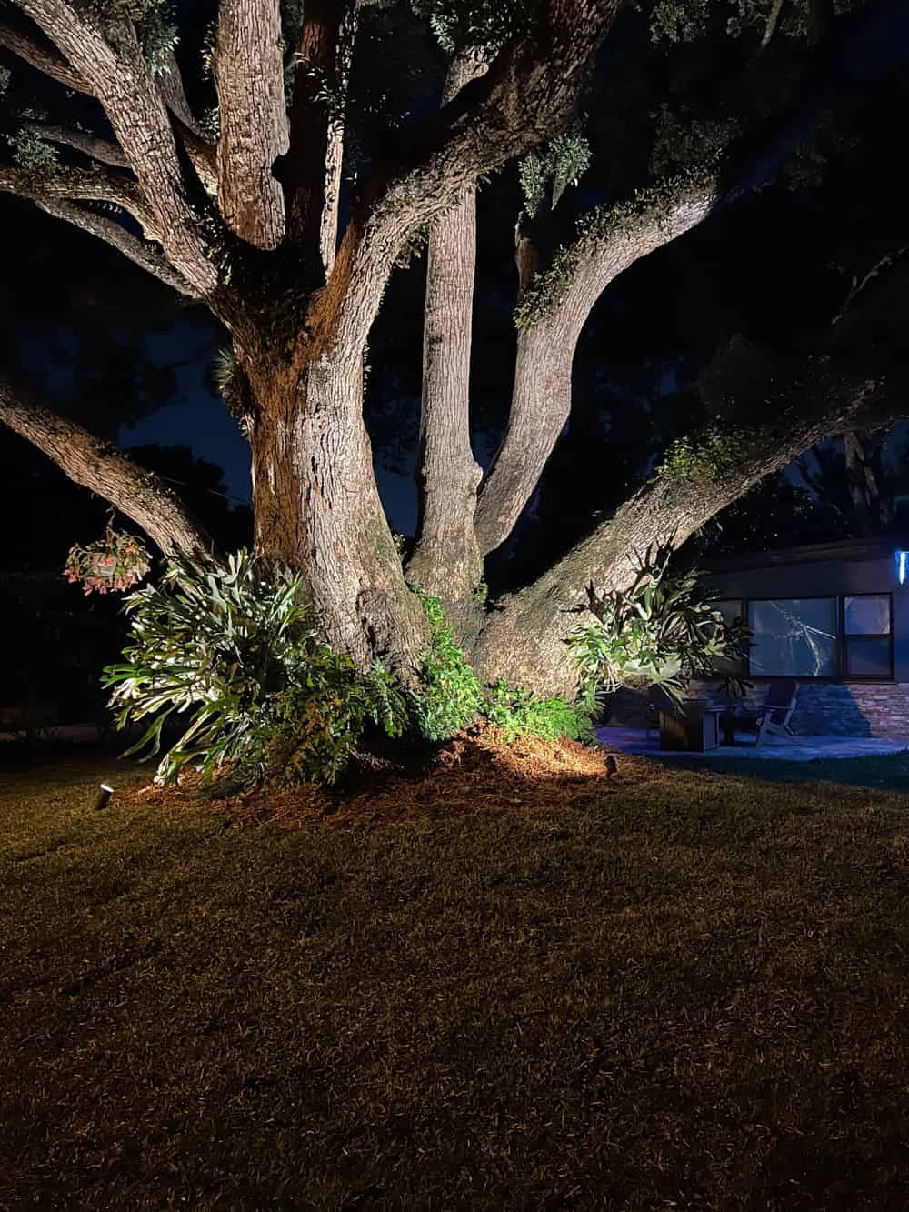 Landscape Maintenance and Renovation image