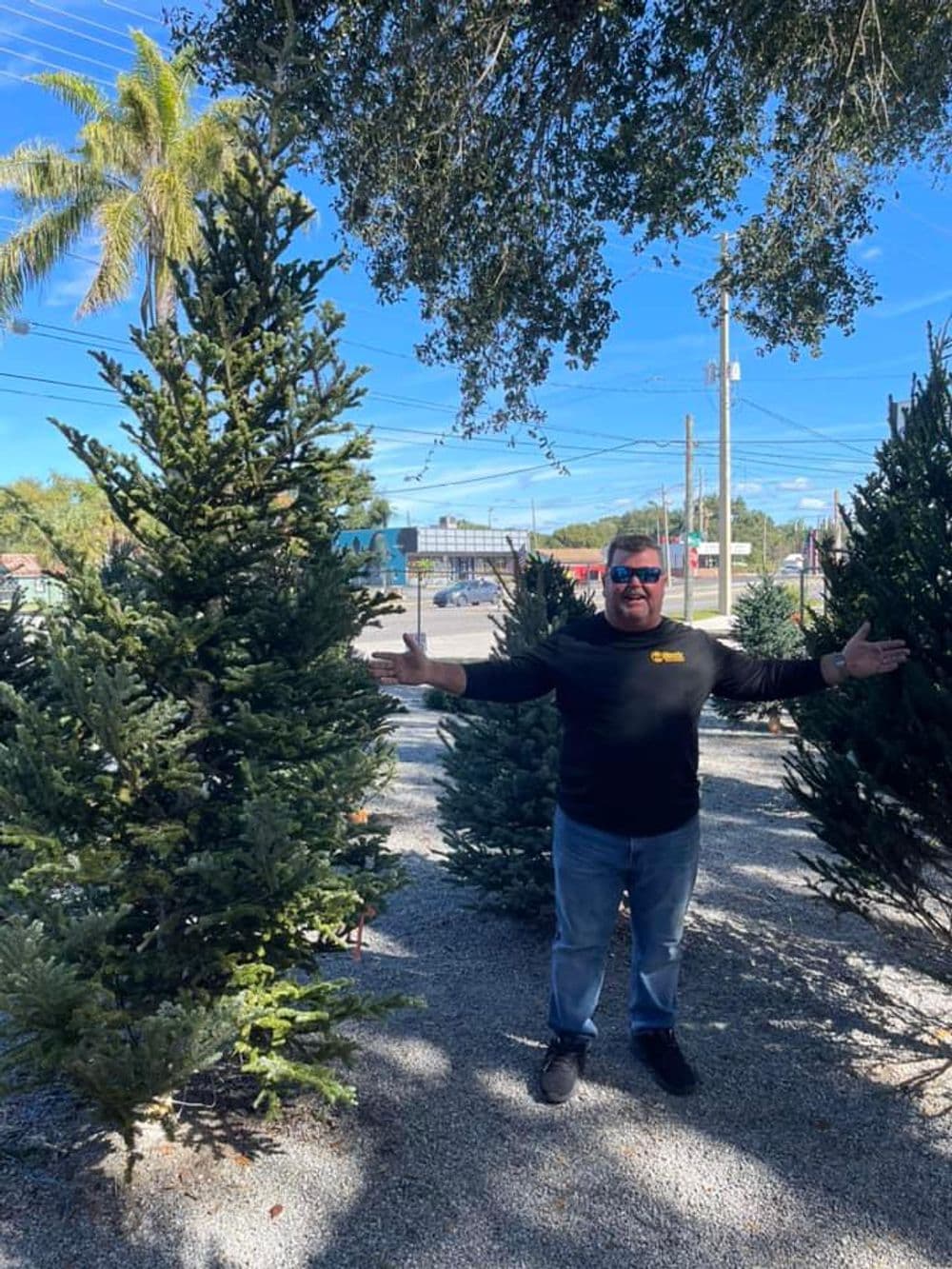 About Harris Landscaping Services